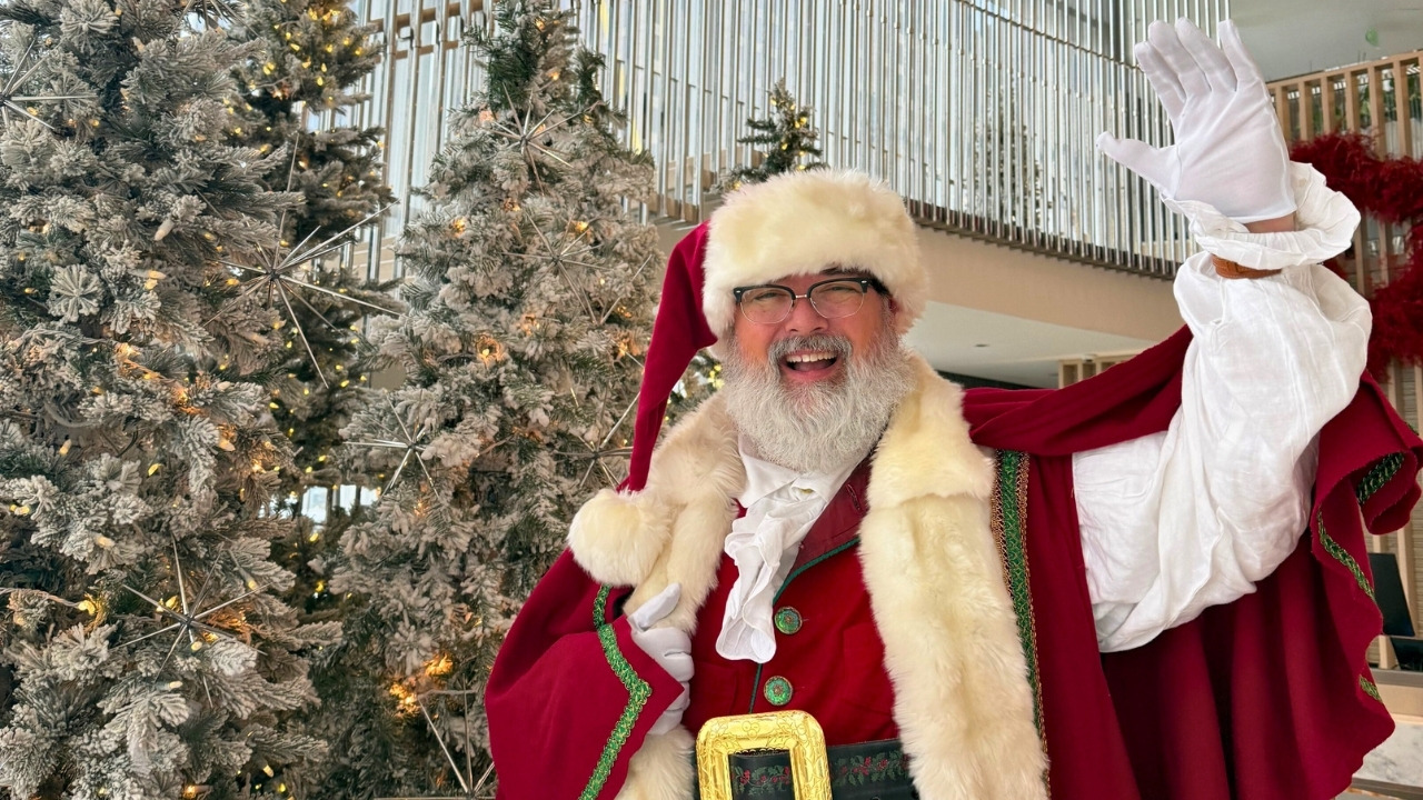 Holiday Package image